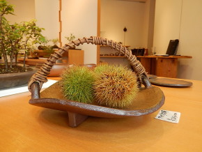 DSCN3160
